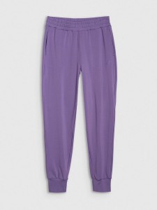 4F Spodnie sportowe w kolorze fioletowym rozmiar: XL