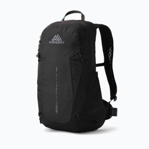 GREGORY Plecak Arrio 22 RC shadow pine black