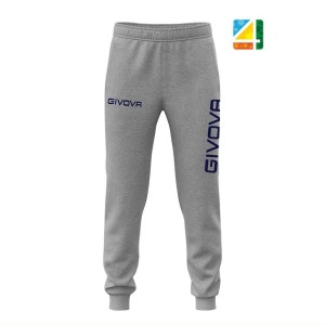 Spodnie dresowe Givova Pants Big Logo Szare Szare